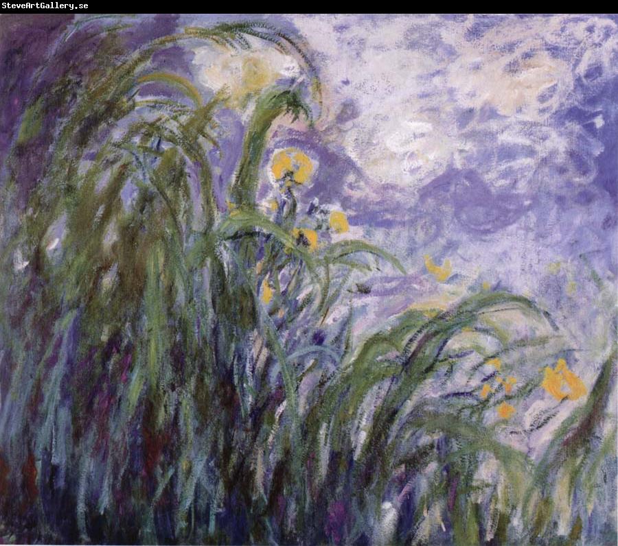 Claude Monet Yellow Irises